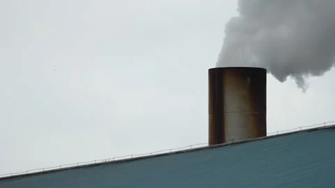 Chimney at Palm Oil Processing Plant, Indonesia Stock Footage 142913507