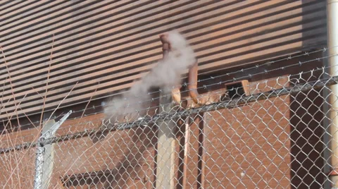 Chimney Pipe Stock Footage 35482597