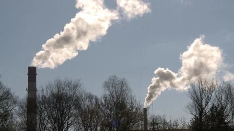 Chimney smoke on blue sky background. Trees without leaves. Static shot Stock Footage 109507057