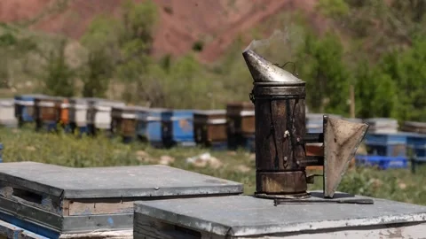 Chimney with smoke on a hive Stock Footage 294124087
