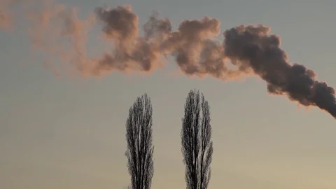Chimney Smoke at Sunset with Two Trees HD Stock Footage 71764695