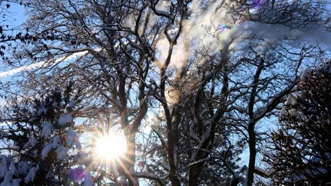 Chimney smoke in a tree in winter 4k 25fps video Stock-Footage 262631716
