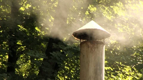 Chimney Smoke Woods Close Up Vídeo Stock 8508513