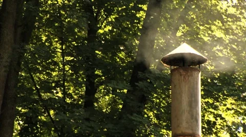 Chimney Smoke Woods Vídeo Stock 8508570