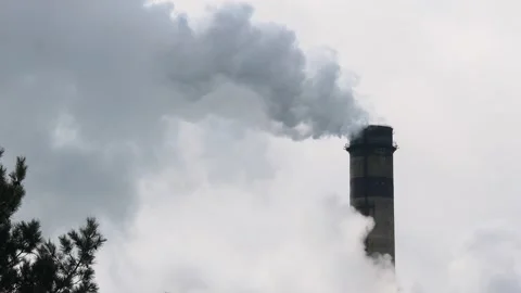 The chimney is smoking Stock Footage 175865688
