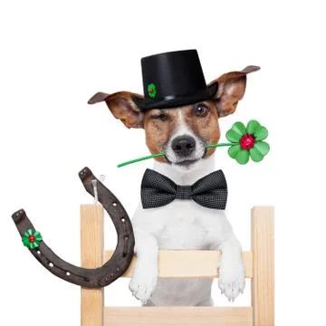 Chimney sweeper dog Illustration