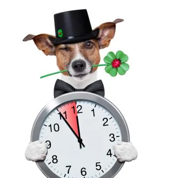 Chimney sweeper dog watch clock Stock-Fotos