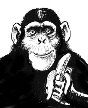 Chimp with banana Stock Illustration
