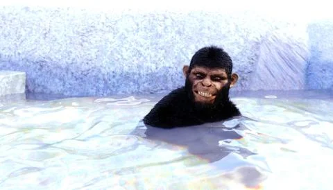 Chimp is bathing in natural hot spring Stock Illustration