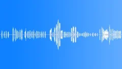 Chimp vocalization false Sound Effect