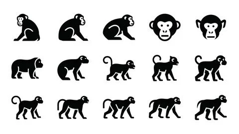 Chimpanzee and monkey face icons with full body primate silhouettes in blac.. Stock Illustration