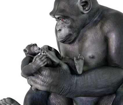 Chimpanzee babysitting Stock Illustration