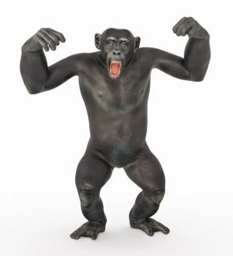 Chimpanzee in a dominant pose Stock Illustration