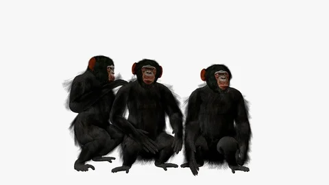 CHIMPANZEE GROUP FRONT VIEW Vídeos de archivo 101657162