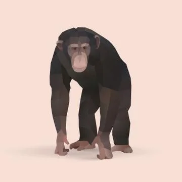 Chimpanzee Stock Illustration