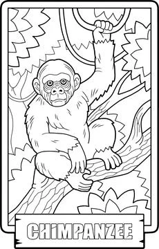 Chimpanzee monkey, coloring page Stock Illustration