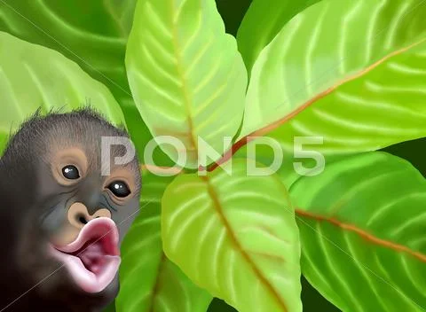 A Chimpanzee Monkey on Green Leaves Background Stock Illustration