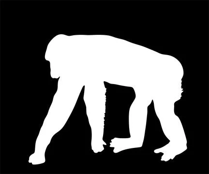 Chimpanzee monkey vector silhouette illustration isolated Illustrazione stock
