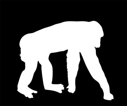 Chimpanzee monkey vector silhouette illustration isolated Stock Illustration