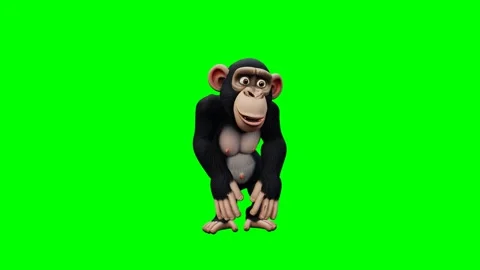 Chimpanzee performing a rhythmic snake dance on a green screen. 4K Stock Footage 348006079
