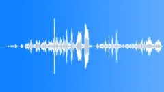 CHIMPANZEE Sound Effect