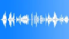 CHIMPANZEE Sound Effect