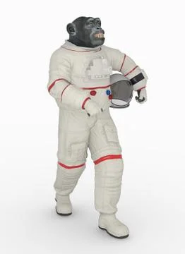 Chimpanzee in spacesuit Stock-Illustration