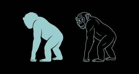 Chimpanzee standing in profile illustration in solid color and line art style Stock Illustration