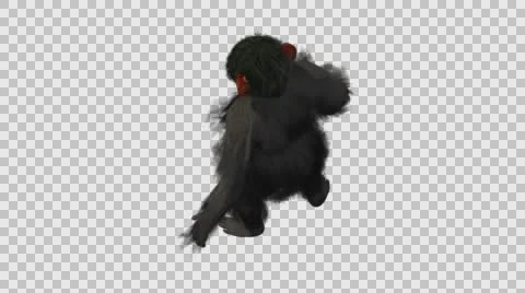 Chimpanzee Walking Upright - Back Left Axo View - Embedded Alpha Looped Vídeos de archivo 61432877