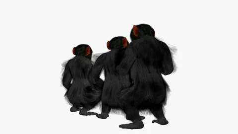 CHIMPANZEES GROUP BACK RIGHT VIEW Vídeos de archivo 101658914