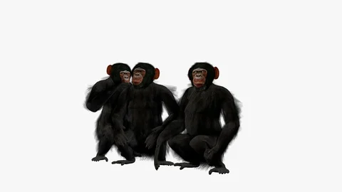 CHIMPANZEES GROUP FRONT LEFT VIEW Vídeos de archivo 101660382