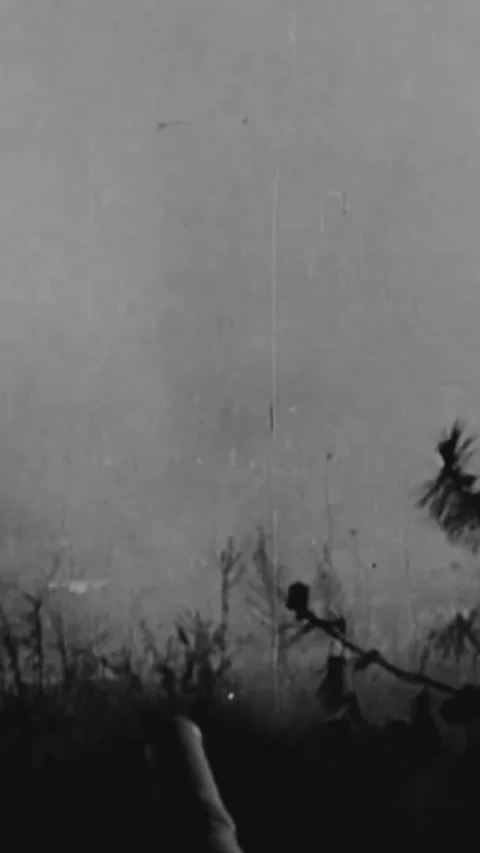 CHINA - 1939 - In this documentary directed by Frank Capra, Japan conquers more Stock Footage 338418109