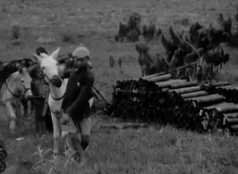 CHINA - 1944: Artillery supply dump - Handlers load shells onto pack mules Stock-Footage 344488996