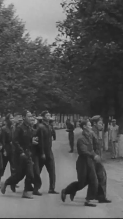 CHINA - 1944 - In this Frank Capra documentary, American-trained Chinese fighter Stock Footage 338413903