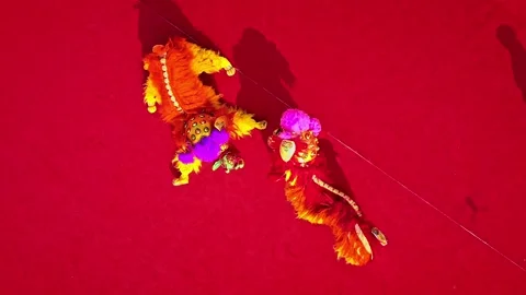 China 1th 2024: Dragon Dance  national intangible cultural heritage performance Stock Footage 324812965