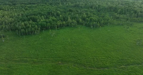 China Aerial Drone View: Beautiful River and forest in Arxan Video Stock Footage 280491653