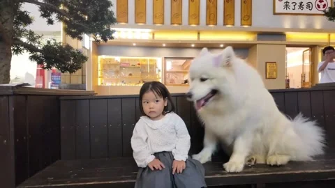 China: Affectionate dog scoots closer to girl on park bench in Jiangxi, C... Stock Footage 337623273