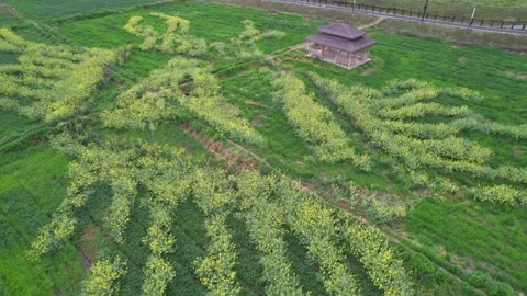 China: AI Chip Pattern in Hangzhou Stock Footage 276307971