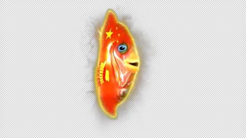 China alpha Stock Footage 259838231