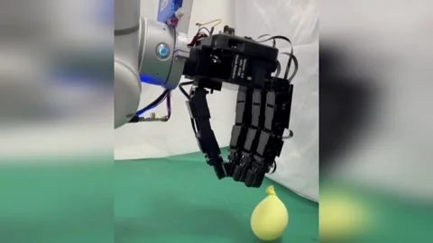 China, Beijing: Robots Learn From People To Master Human-Like Grasping Sk... Vídeos de archivo 327171601
