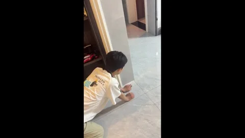 China: Boy gets startled by cat while playing hide and seek in Henan, Chi... Stock Footage 336261270