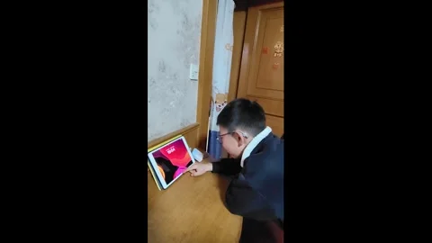 China: Boy unlocks iPad after remembering long password in Shanghai, Chin... Stock Footage 330234862