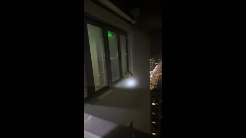 China: Cat cries outside, then runs inside like nothing happened in Shand... Stock Footage 294288304