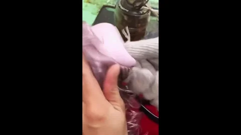 China: Chinese factory machine implants hair onto toy dolls Stock Footage 326284367