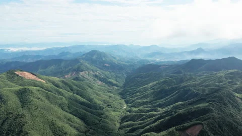 China Chinese A patch of bamboo forest with picturesque scenery Stock Footage 235663126