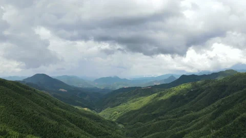China Chinese A patch of bamboo forest with picturesque scenery Stock Footage 235680152