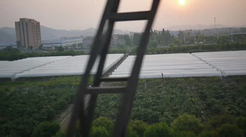 China countryside by train Video stock 23817989