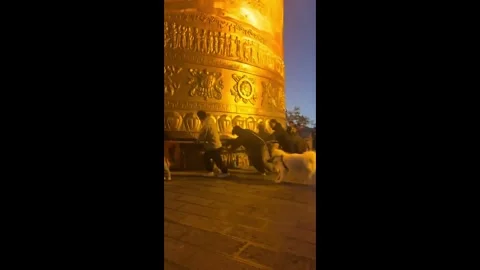 China: Dog in China refuses to let owner push prayer wheel alone Video stock 321718103