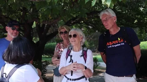 China: Elderly foreign travelers boost China's tourism sector Stock Footage 289099112