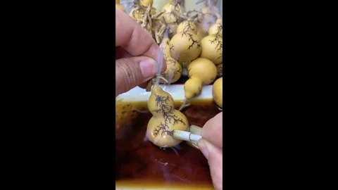 China: Electric tool creates tree patterns on gourd in China Video stock 326280581